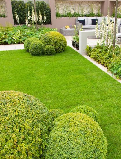 Alliance Paysage